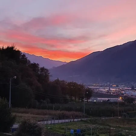 Pisolo Selvaggio * Tirano