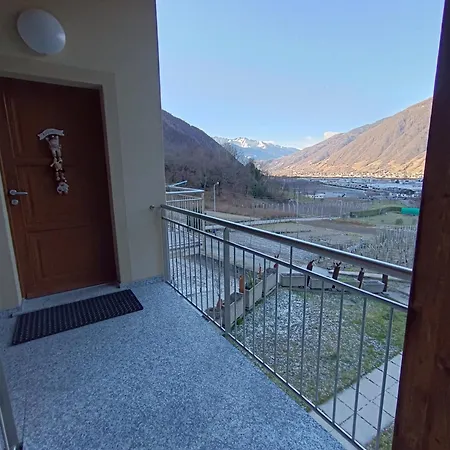 Pisolo Selvaggio Tirano