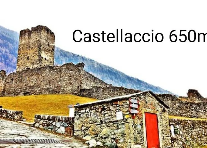 Pisolo Selvaggio *