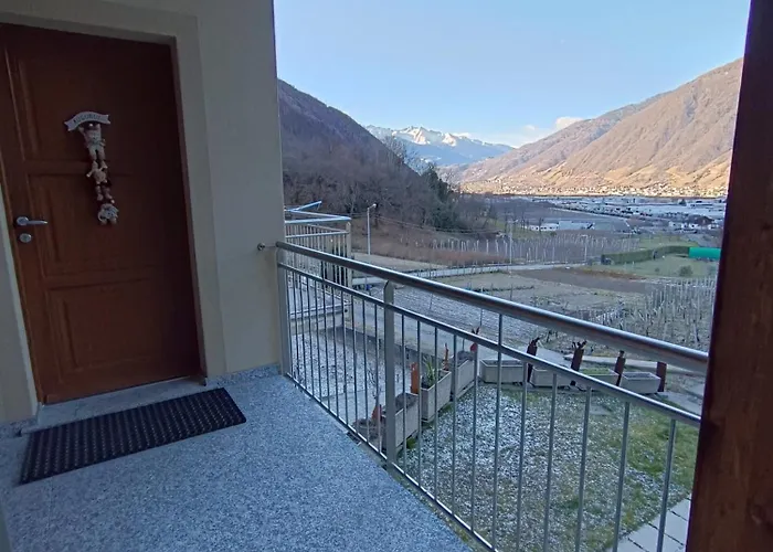 Pisolo Selvaggio Tirano